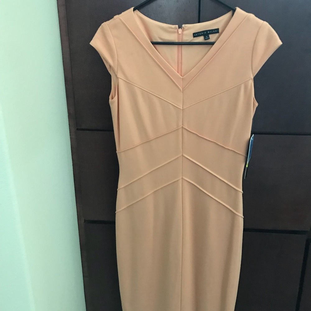 Antonio Melanie dress